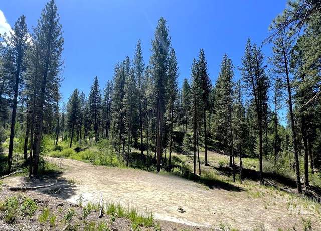 Property at L16 B1 Shaw Gulch Rd, Idaho City, ID 83631