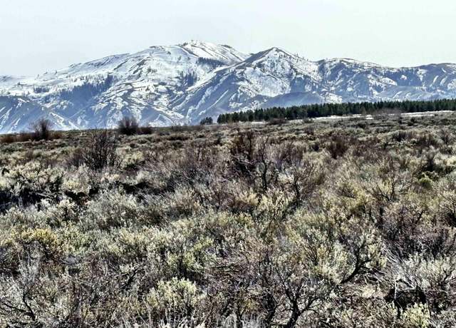 Property at TBD Long Gulch Rd, Prairie, ID 83647