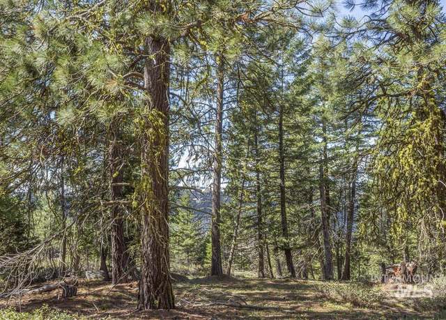 Property at 161 Little Donner Dr, Cascade, ID 83611