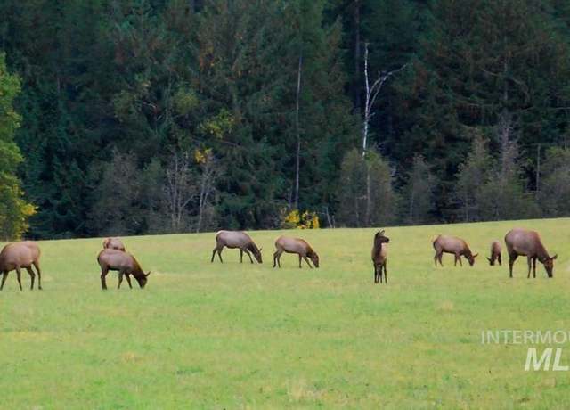Property at TBD Lot 3 Empty Saddle Way, Donnelly, ID 83615