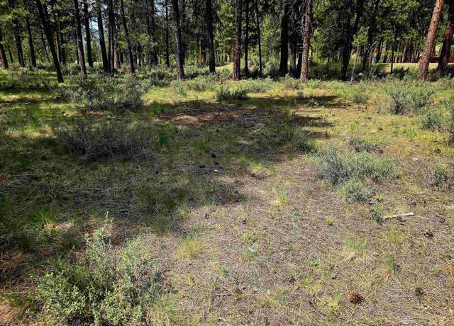 Property at TBD Victory Ln, Lowman, ID 83637