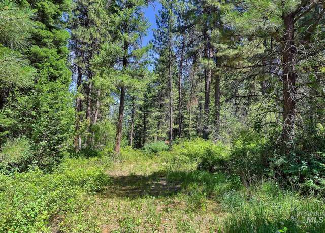 Property at 30 & TBD Syringa, Garden Valley, ID 83622