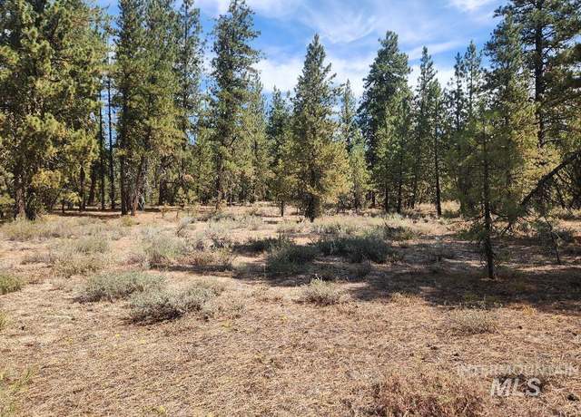 Property at TBD N Diamond Bar Pl, Featherville, ID 83647