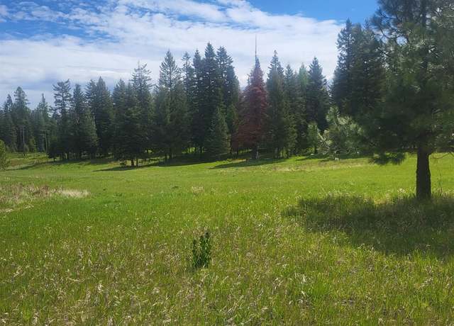 Property at 731 Heathman Rd, Anatone, WA 99401