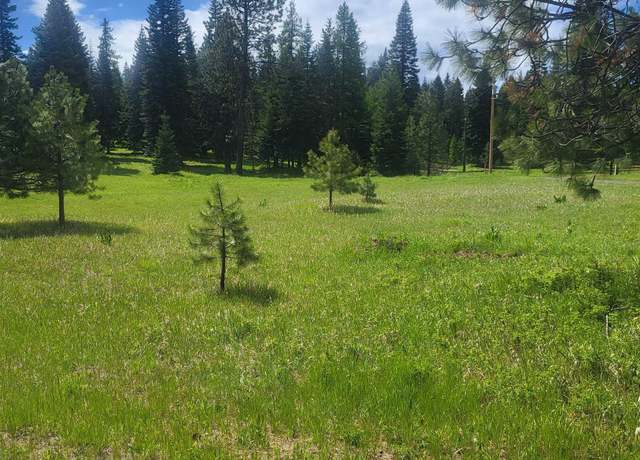 Property at 731 Heathman Rd, Anatone, WA 99401