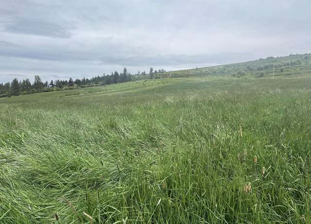 Property at TBD Highway 13  Parcel 4, Grangeville, ID 83530