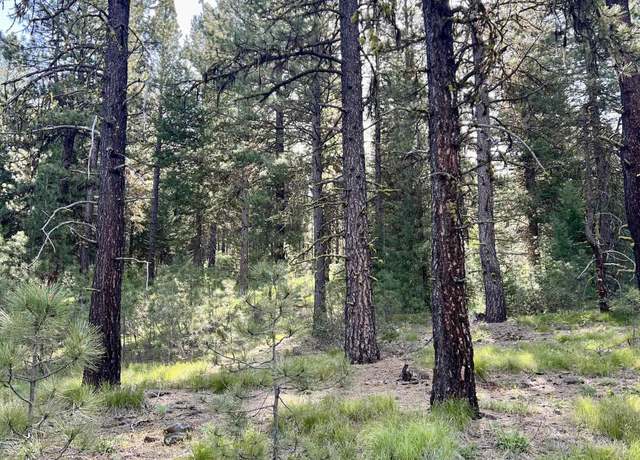 Property at Lot 20 Meadows Rd, New Meadows, ID 83654