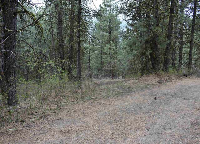 Property at TBD Outlaw Trl, Banks, ID 83602