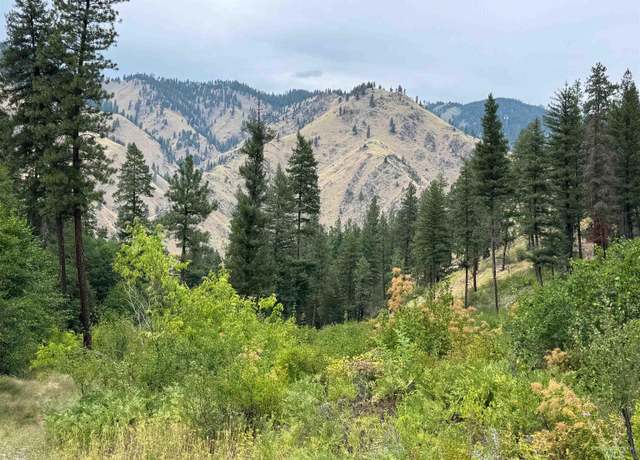 Property at TBD Nf Road 310, Riggins, ID 83549