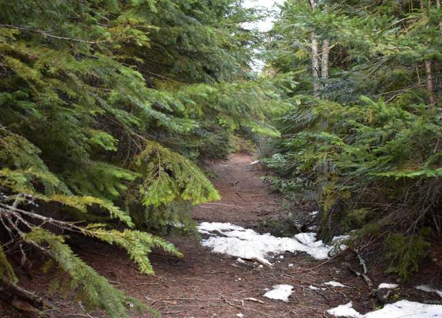 Property at 80 E Ridge Dr. (Tract 8), St. Maries, ID 83861