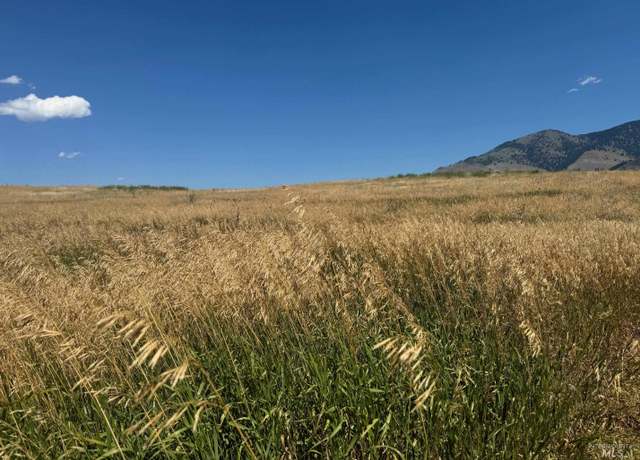 Property at Lot 29 Whitewater Wilderness Dr, Pollock, ID 83547