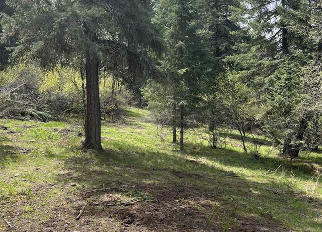 Property at Parcel B Elk City Wagon Rd, Stites, ID 83539