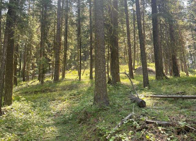 Property at 1300 Shore Dr, Cascade, ID 83611
