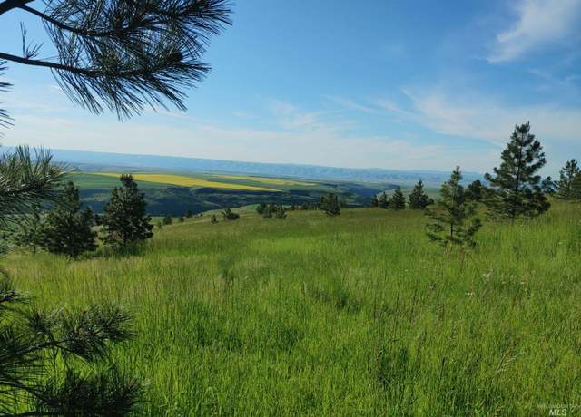 Property at Lot B Forsman Rd, Lewiston, ID 83501