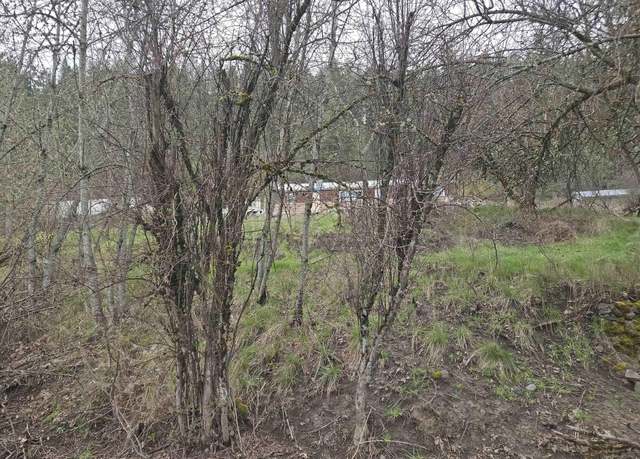 Property at TBD Pine St Blk 43, Lot 1, Peck, ID 83545