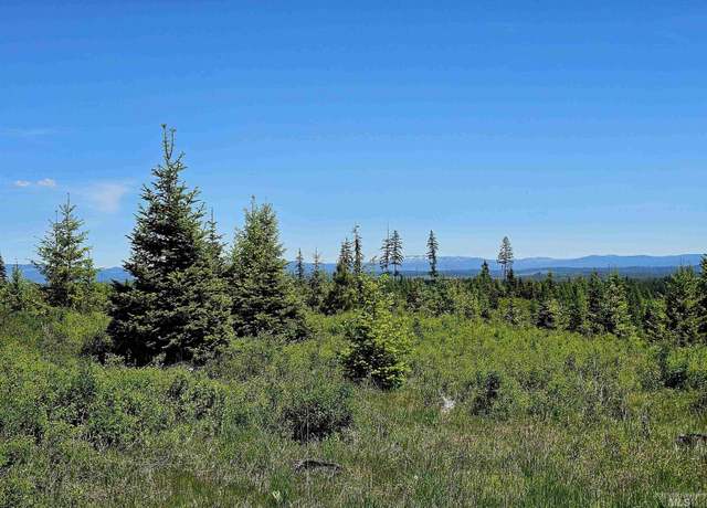 Property at NNA Timberline Heights, Parcel 3, Weippe, ID 83553