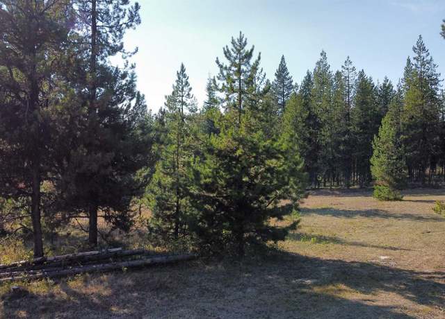 Property at TBD Cold Spgs, Grangeville, ID 83530