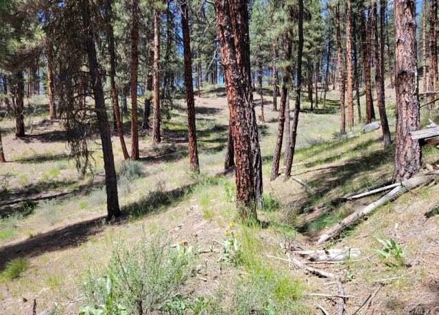 Property at 4156 Hwy 21, Idaho City, ID 83631, 2 beds