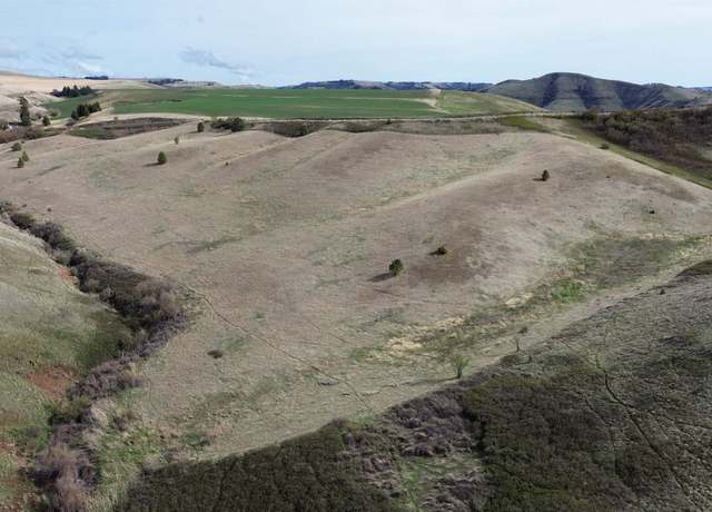 Property at NKA Blindgrade Rd- Lot 3 Rd, Pomeroy, WA 99327