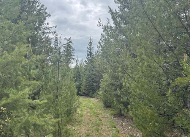 Property at TBD Parcel 8 Bandmill Hts, Orofino, ID 83544