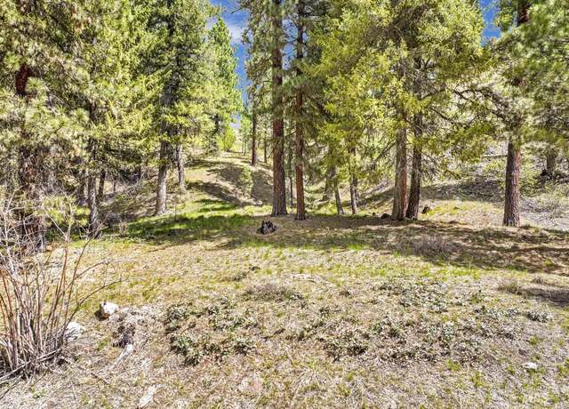 Property at TBD Trinity Creek Rd, Featherville, ID 83647