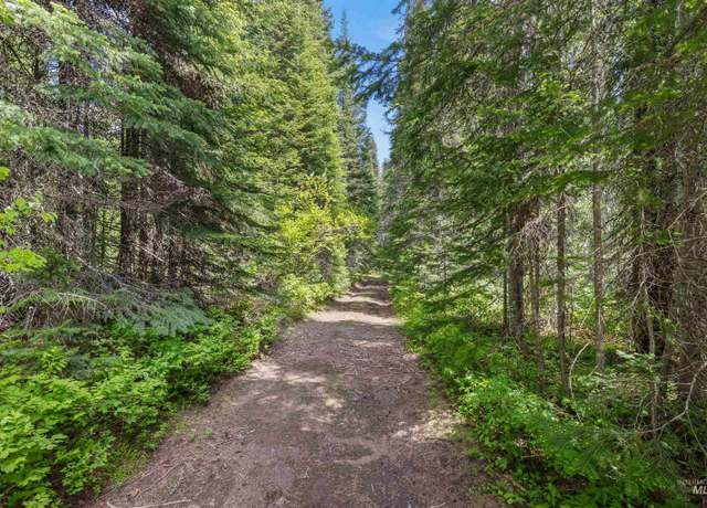 Property at Fsd 382 Fsd 382 Rd, Elk River, ID 83827
