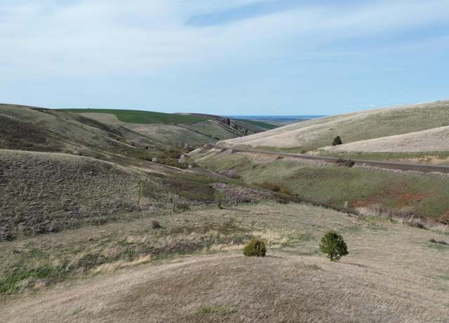 Property at NKA Blindgrade Rd Lot 4 Rd, Pomeroy, WA 99327