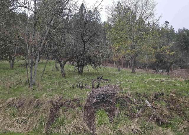 Property at TBD Pine St Blk 56, Lot 1, Peck, ID 83545