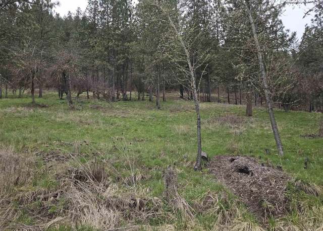 Property at TBD Pine St Blk 56, Lot 3, Peck, ID 83545
