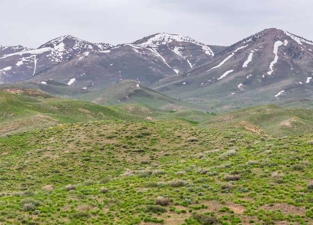 Property at TBD Homestead Rd, Fairfield, ID 83327