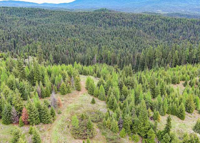 Property at TBD Parcel 7 Tree Farm Trails Rd, Elk City, ID 83525