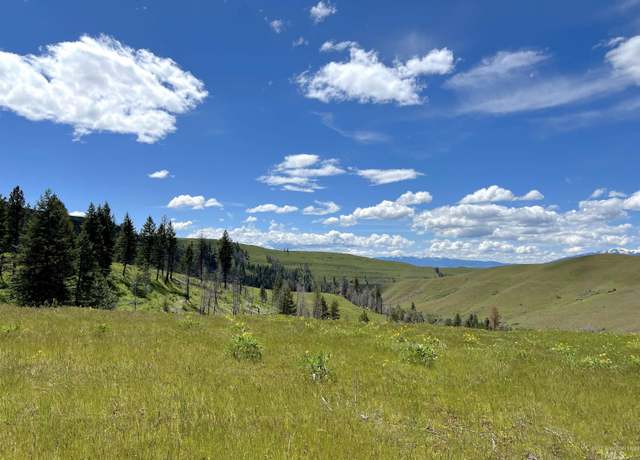 Property at 255 ac Fall Creek Rd, Council, ID 83612