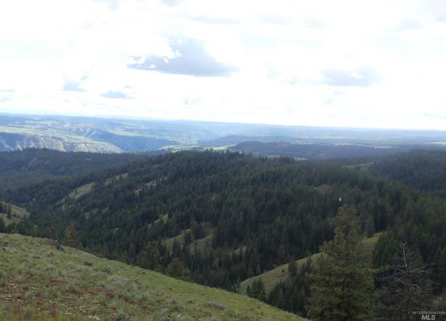 Property at 002 Hansen Ridge Rd, Anatone, WA 99401