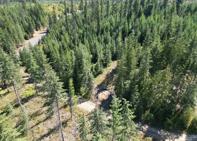 Property at TBD Parcel #2 Johnston Mill Rd, Orofino, ID 83544