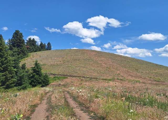 Property at Bare Land Elk View Rnch, Lewiston, ID 83501