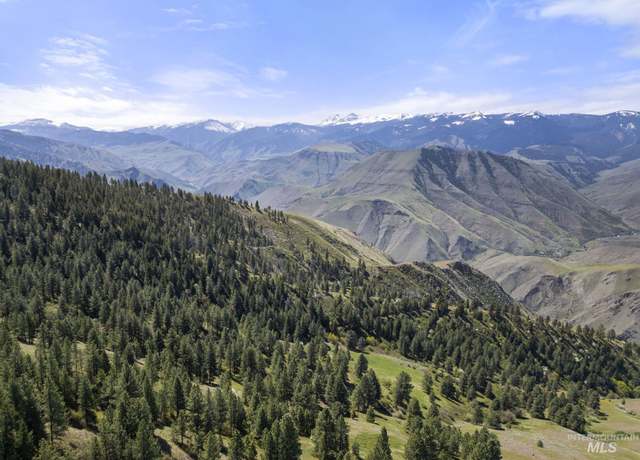 Property at TBD Lightning Crk, Riggins, ID 83549