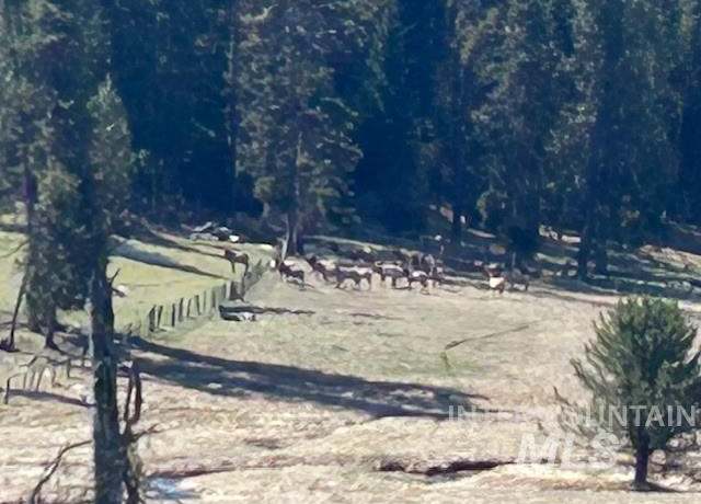 Property at 170 Spur Rd, Elk City, ID 83525