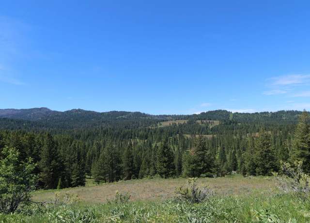 Property at TBD Council Cuprum Rd, Council, ID 83612