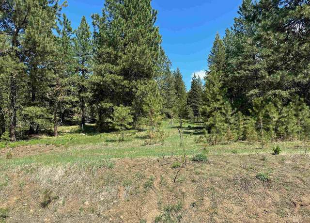 Property at TBD Whitefield Ln, Mccall, ID 83638-0000