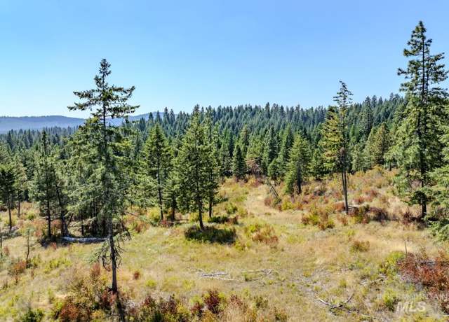 Property at Starview Lane Parcel 1, Princeton ID 83857 Starview Lane Parcel 1, Princeton, ID 83857