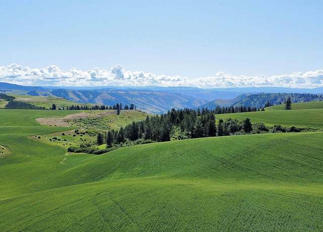 Property at TBD Basket Rd, Nezperce, ID 83543