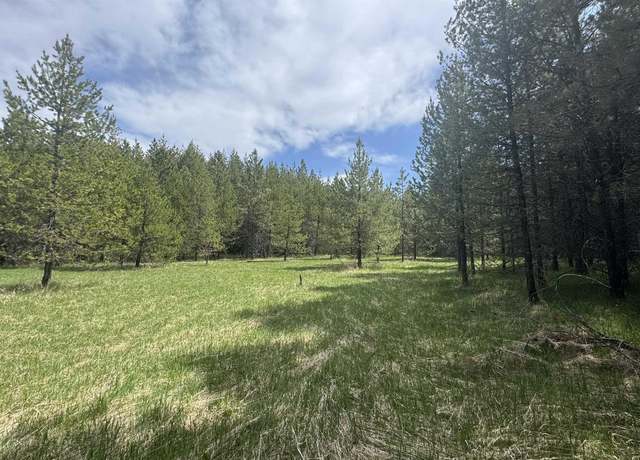 Property at TBD Parcel 17-Bandmill Hts, Orofino, ID 83554