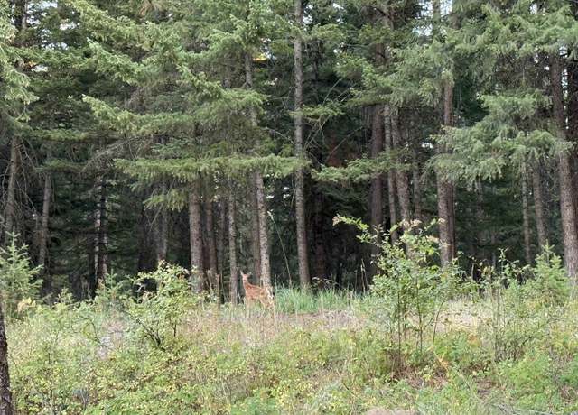 Property at TBD Harlow Ridge Rd - Cloverland Estates 27, Asotin, WA 99402