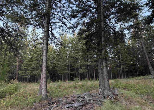 Property at TBD Harlow Ridge Rd - Cloverland Estates 26, Asotin, WA 99402