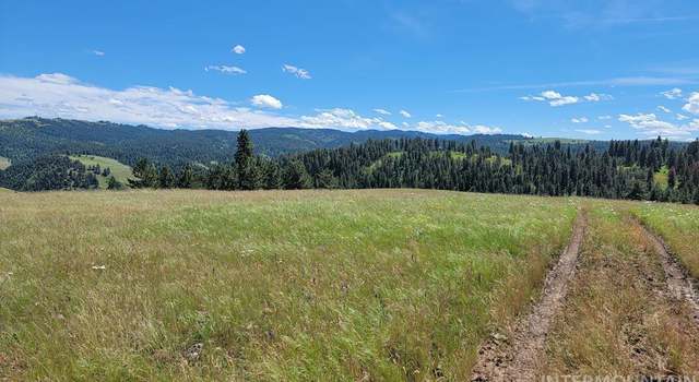 Photo of Scully Creek Road, CottonWood ID 83552 Scully Creek Rd, Cottonwood, ID 83552