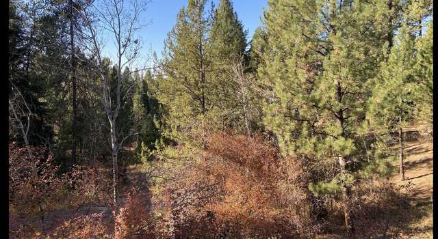 Photo of 431 Wilhelm Creek Ct, Mccall, ID 83638