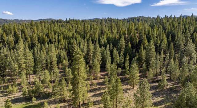 Photo of Lot 21 Trail Creek Ct, Placerville, ID 83631