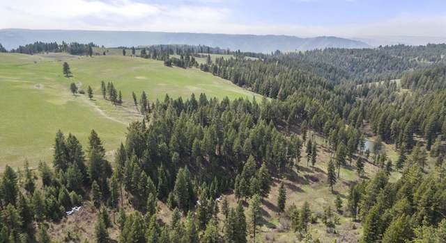 Photo of TBD Rieman Rd, Cottonwood, ID 83522