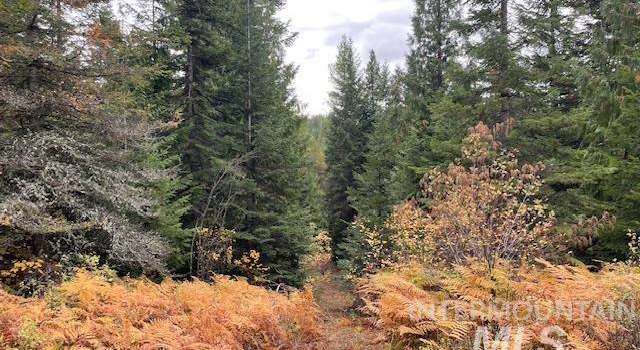 Photo of 000 Middle Fork Santa Creek Rd, St. Maries, ID 83861