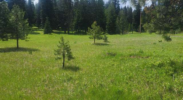 Photo of 731 Heathman Rd, Anatone, WA 99401